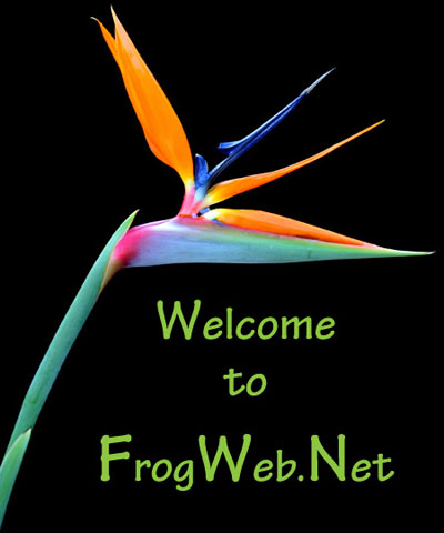 Welcome to Frog Web dot Net