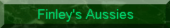 Finley's Aussies