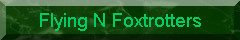 Flying N Foxtrotters